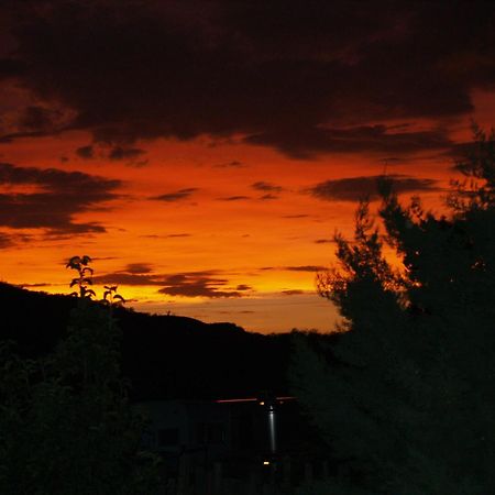 Spirit Tree Inn B&B Patagonia Εξωτερικό φωτογραφία
