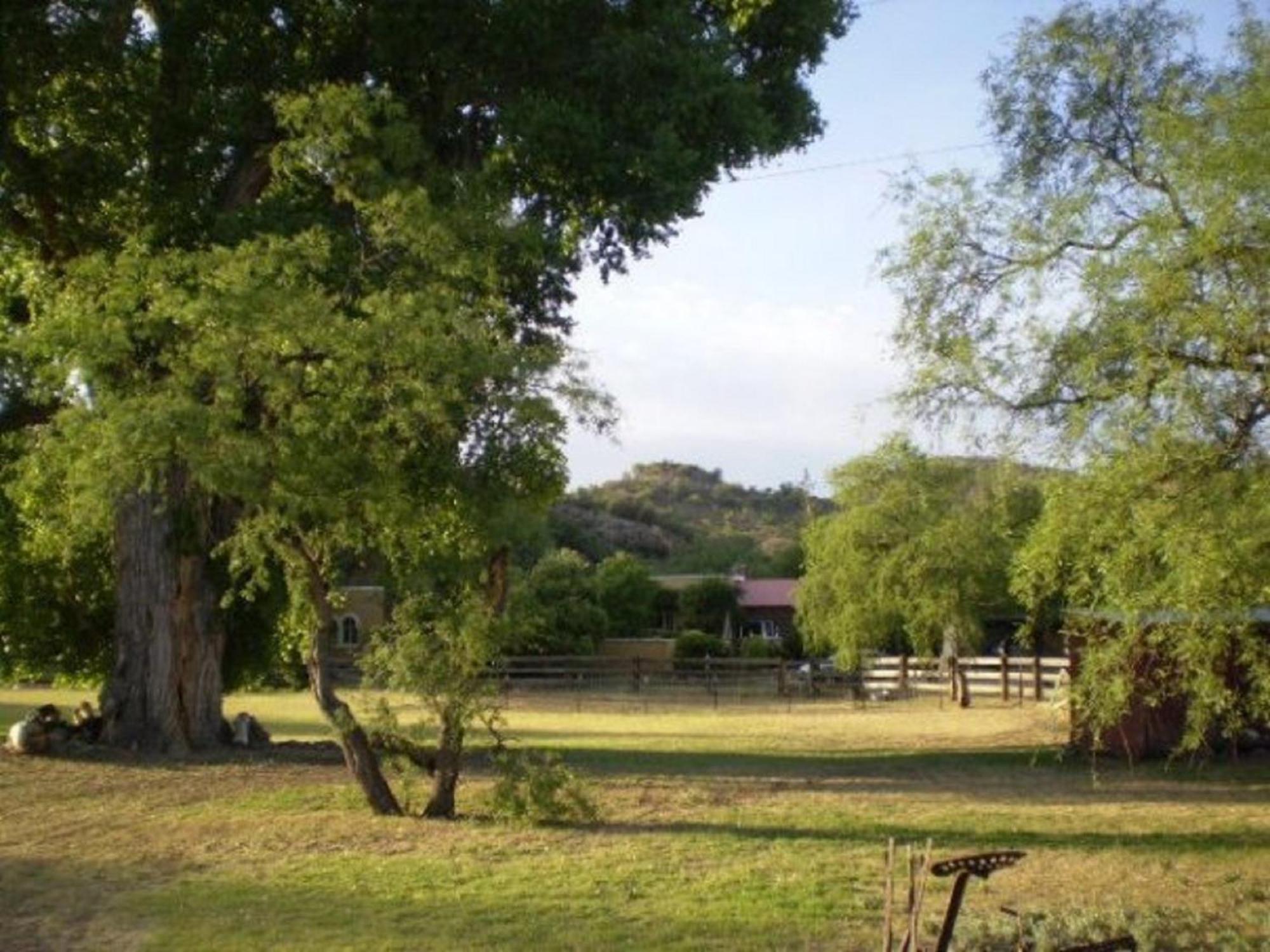 Spirit Tree Inn B&B Patagonia Εξωτερικό φωτογραφία
