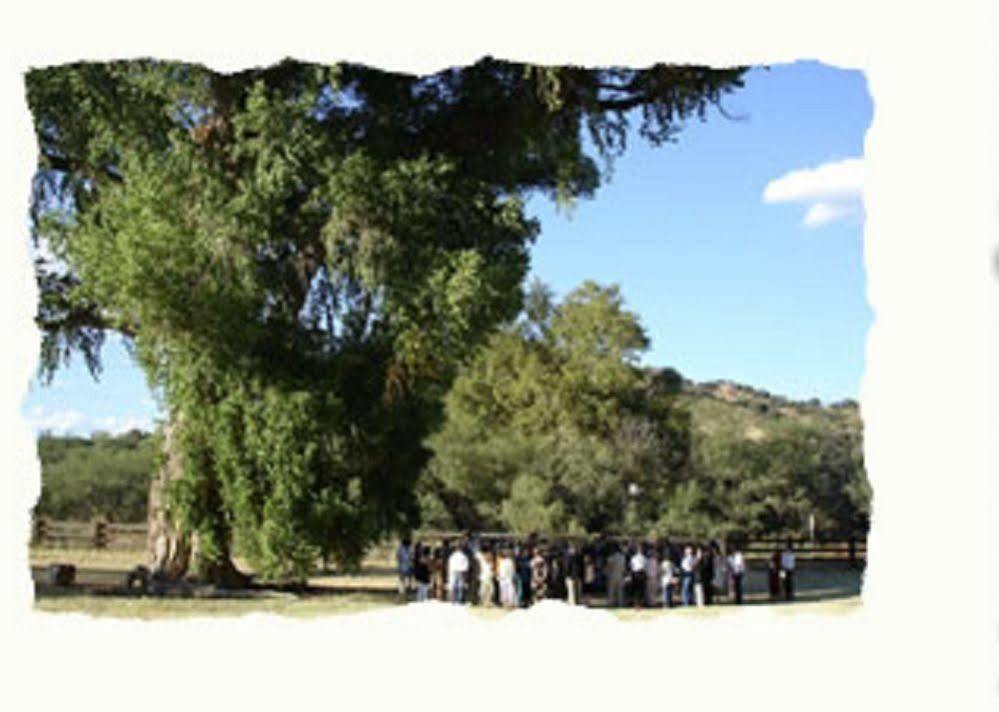 Spirit Tree Inn B&B Patagonia Εξωτερικό φωτογραφία