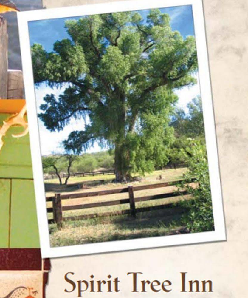 Spirit Tree Inn B&B Patagonia Εξωτερικό φωτογραφία