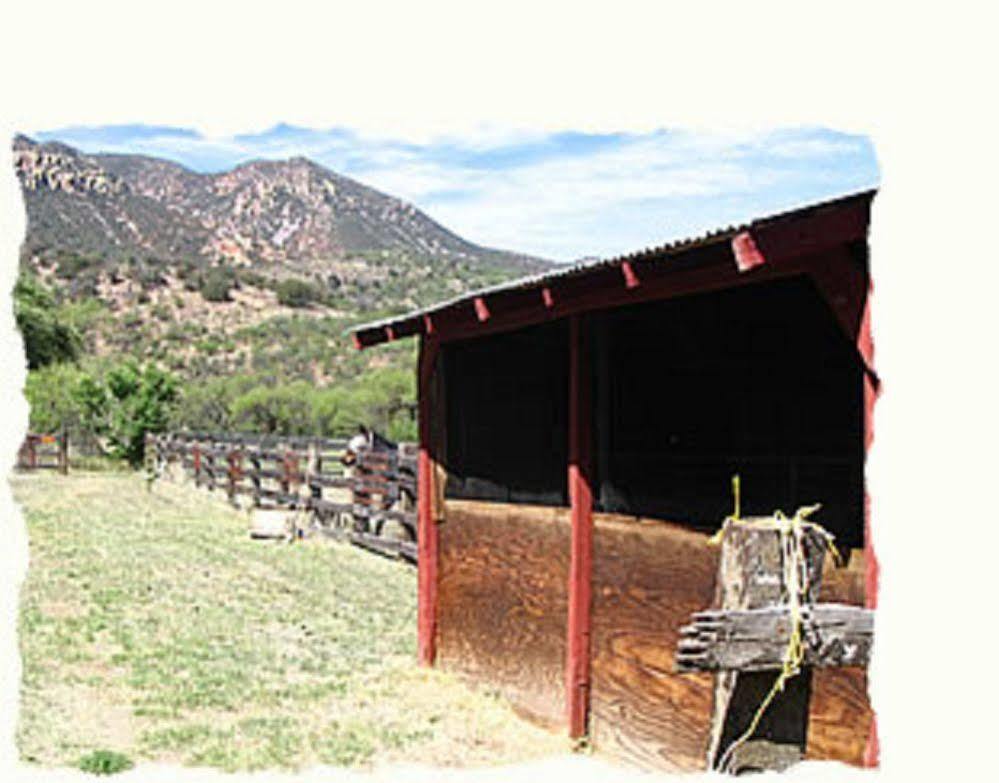 Spirit Tree Inn B&B Patagonia Εξωτερικό φωτογραφία